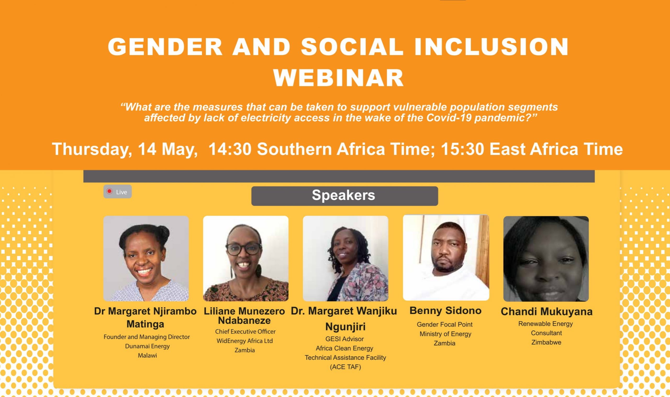 Gender and Social Inclusion (GESI) Webinar: Southern Africa